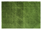 0000A_D.GREEN D.GREEN