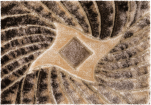 5030A_GOLD GOLD